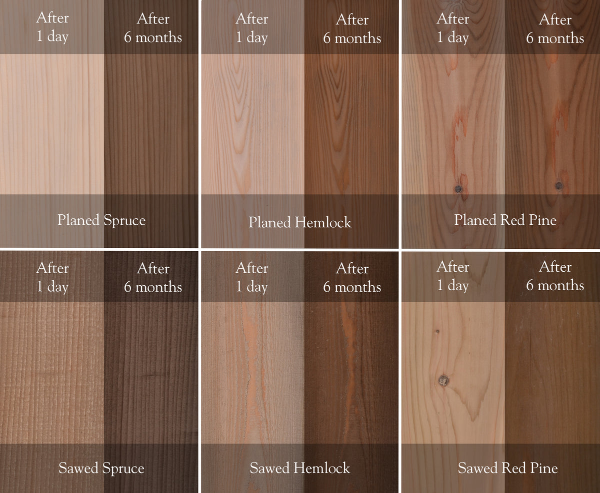 Tratamiento para madera LifeTime de 5 galones